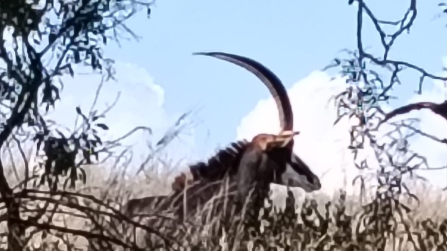 5 Bedroom Property for Sale in Swartruggens North West